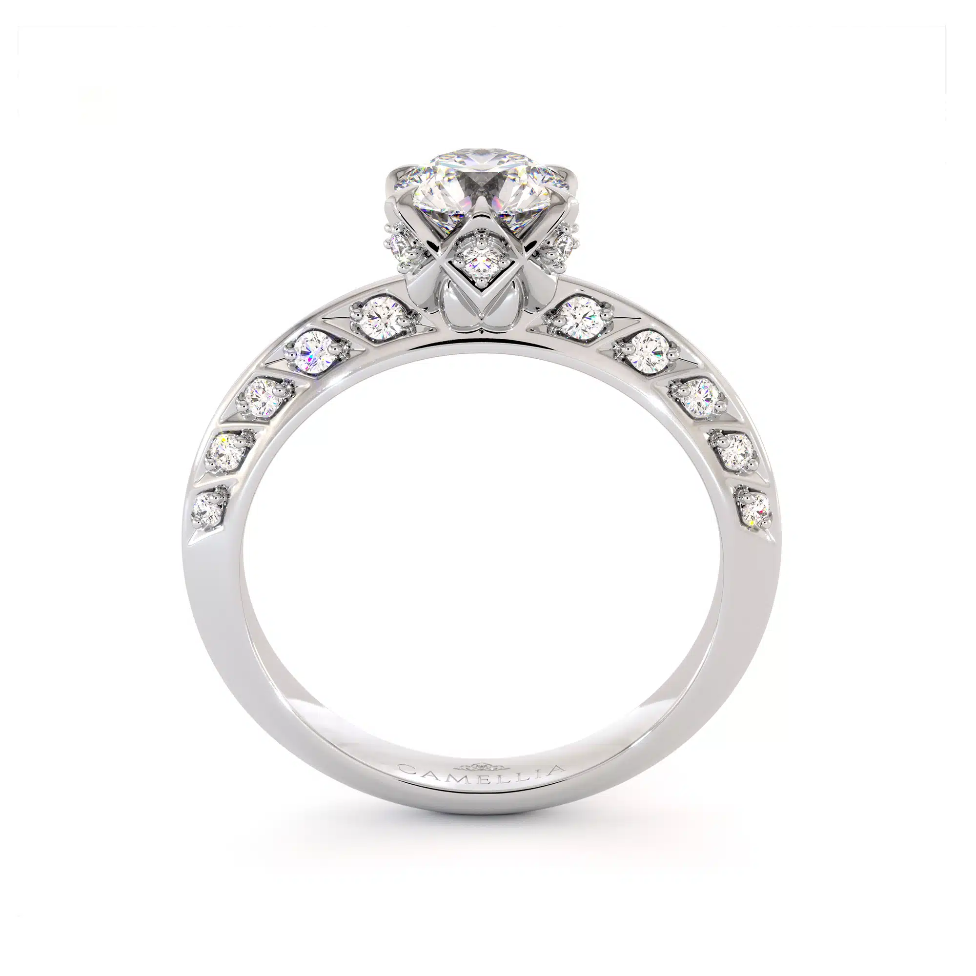 CL-0031 White Gold (3)