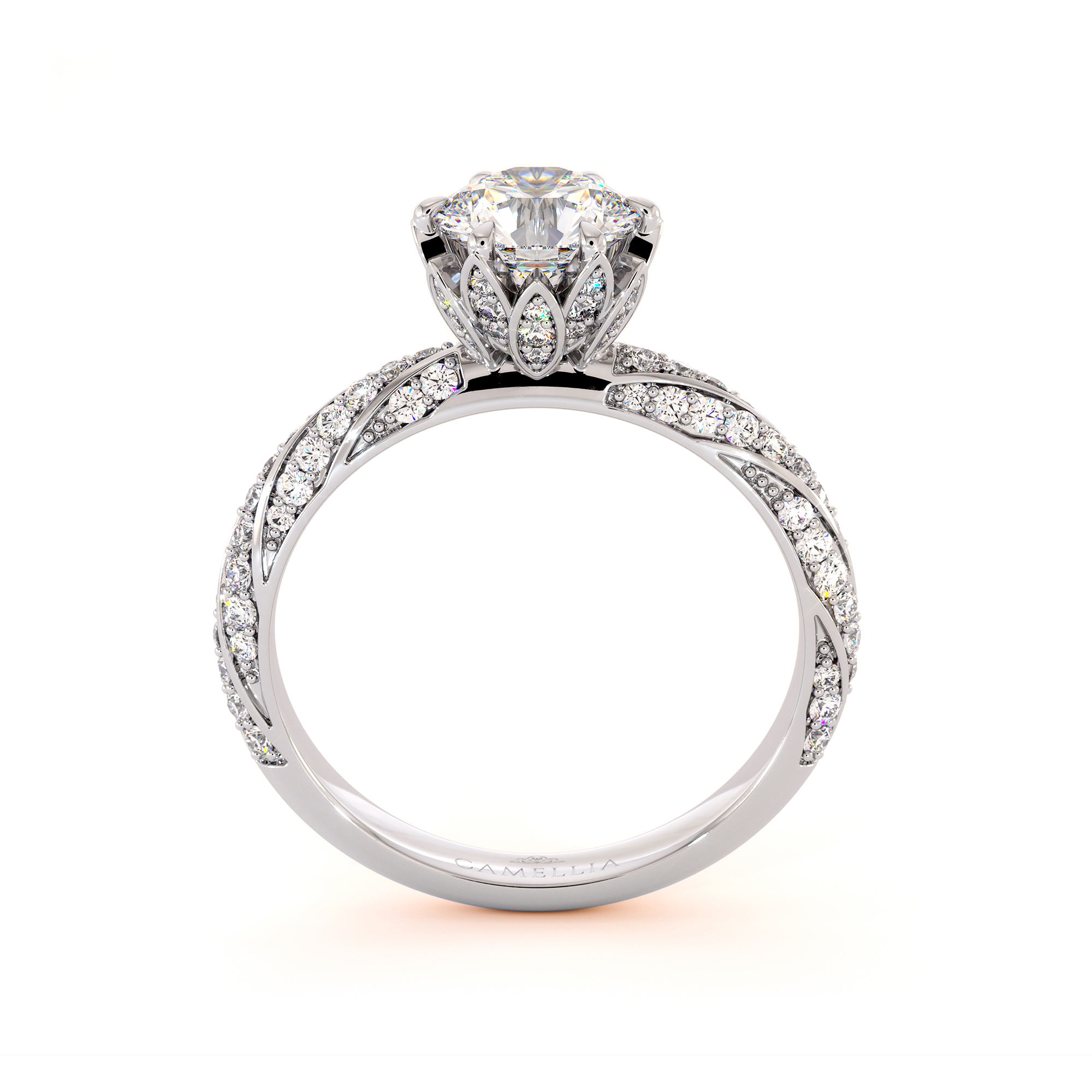 CD-0164 White Gold (5)