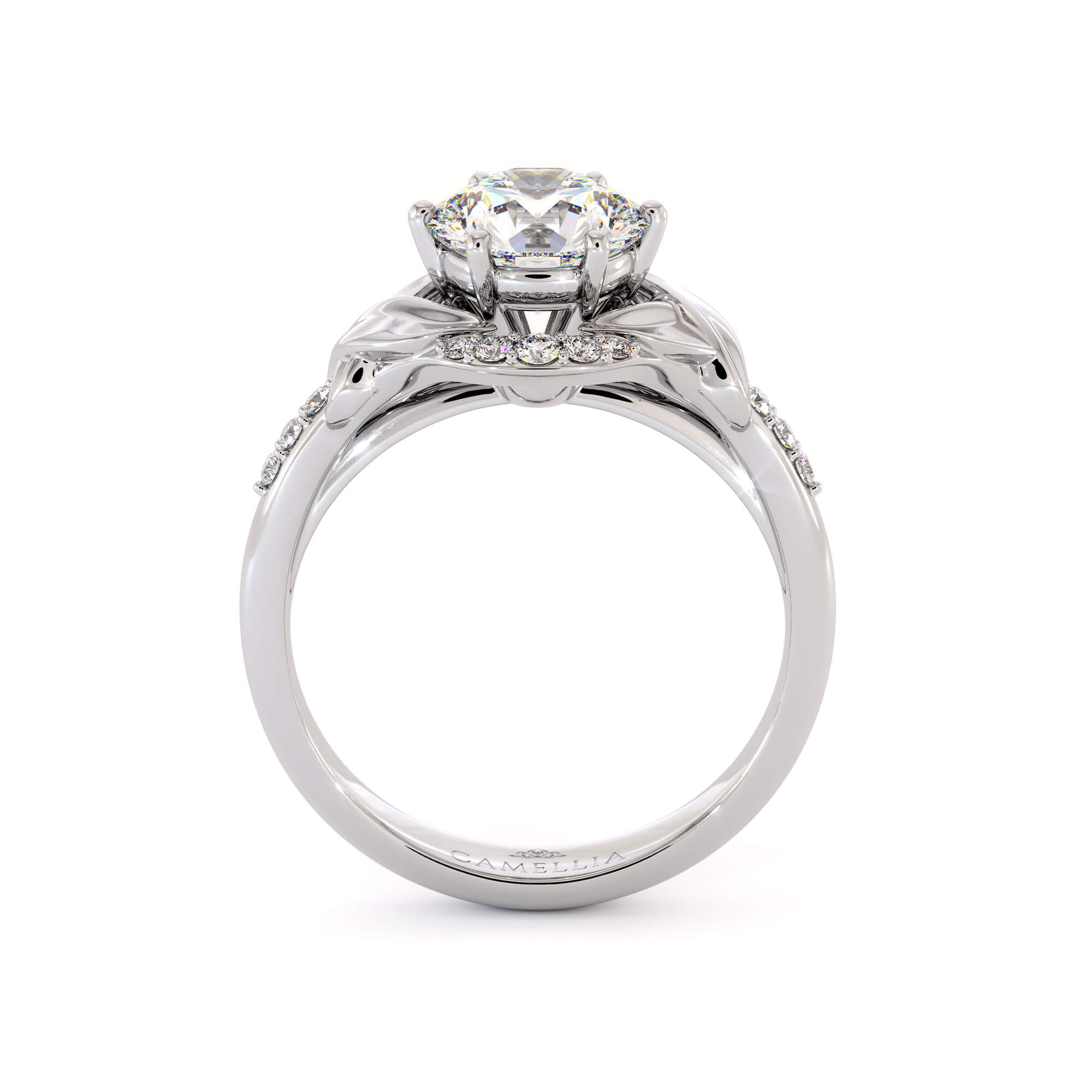 AN-0001C white gold ring (4)