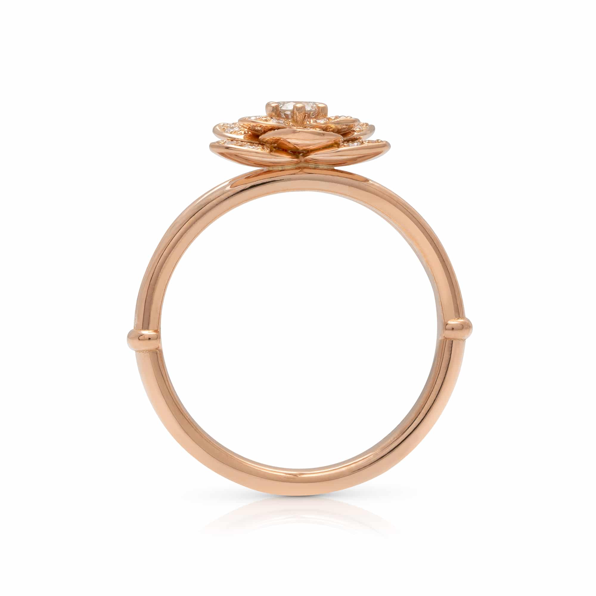SF-0007A — Rose Gold, profile through the band Profile through the rose gold rose ring, the low bloom sitting close above a slim rounded band