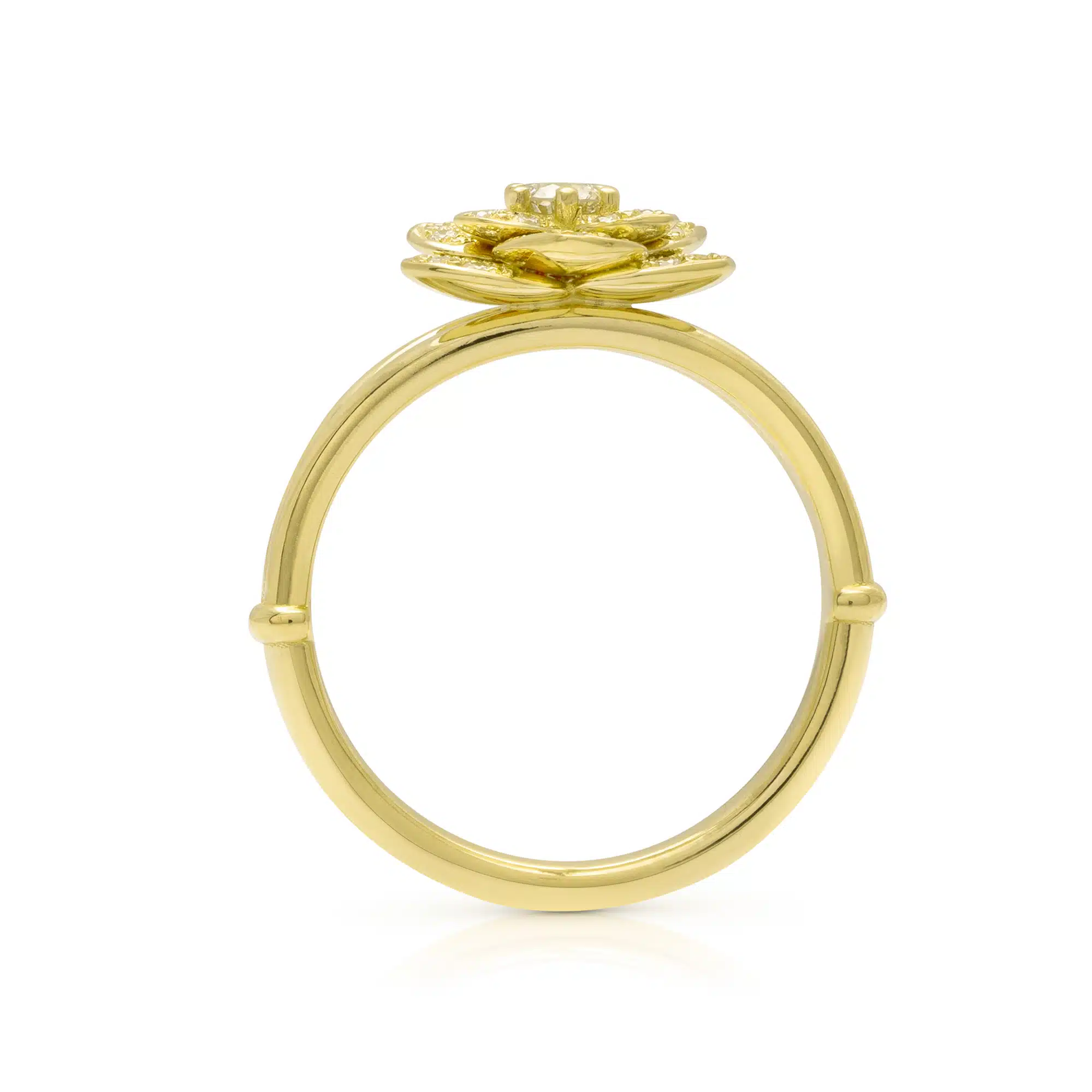 SF-0007A — Yellow Gold, profile through the band Profile through the yellow gold rose ring, the low bloom sitting close above a slim rounded band