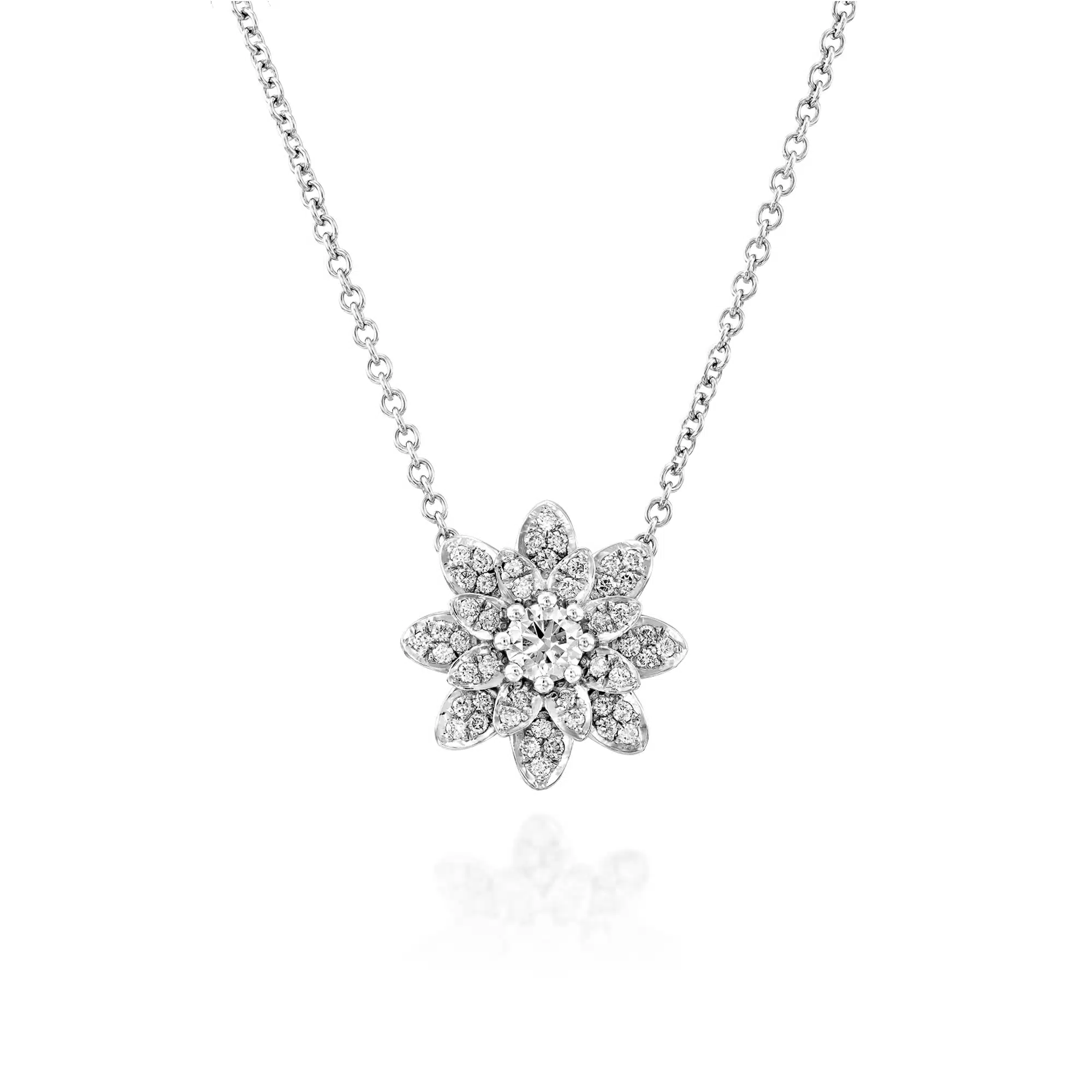 PF-0005_White Gold_1