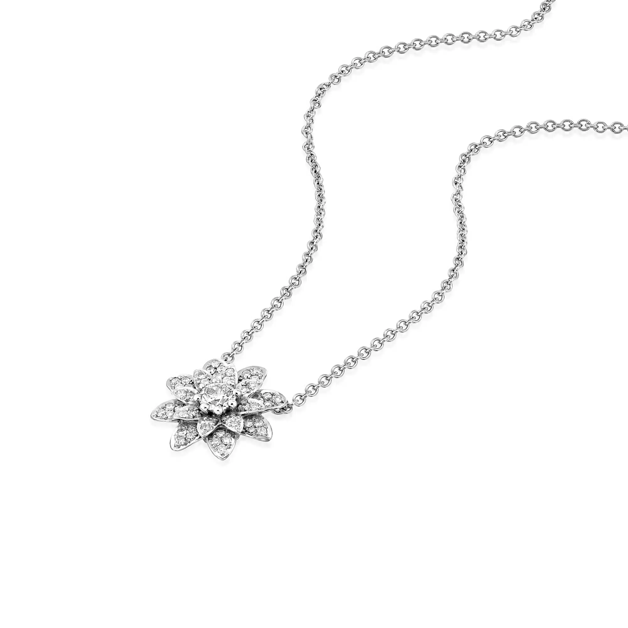 PF-0005_White Gold_2