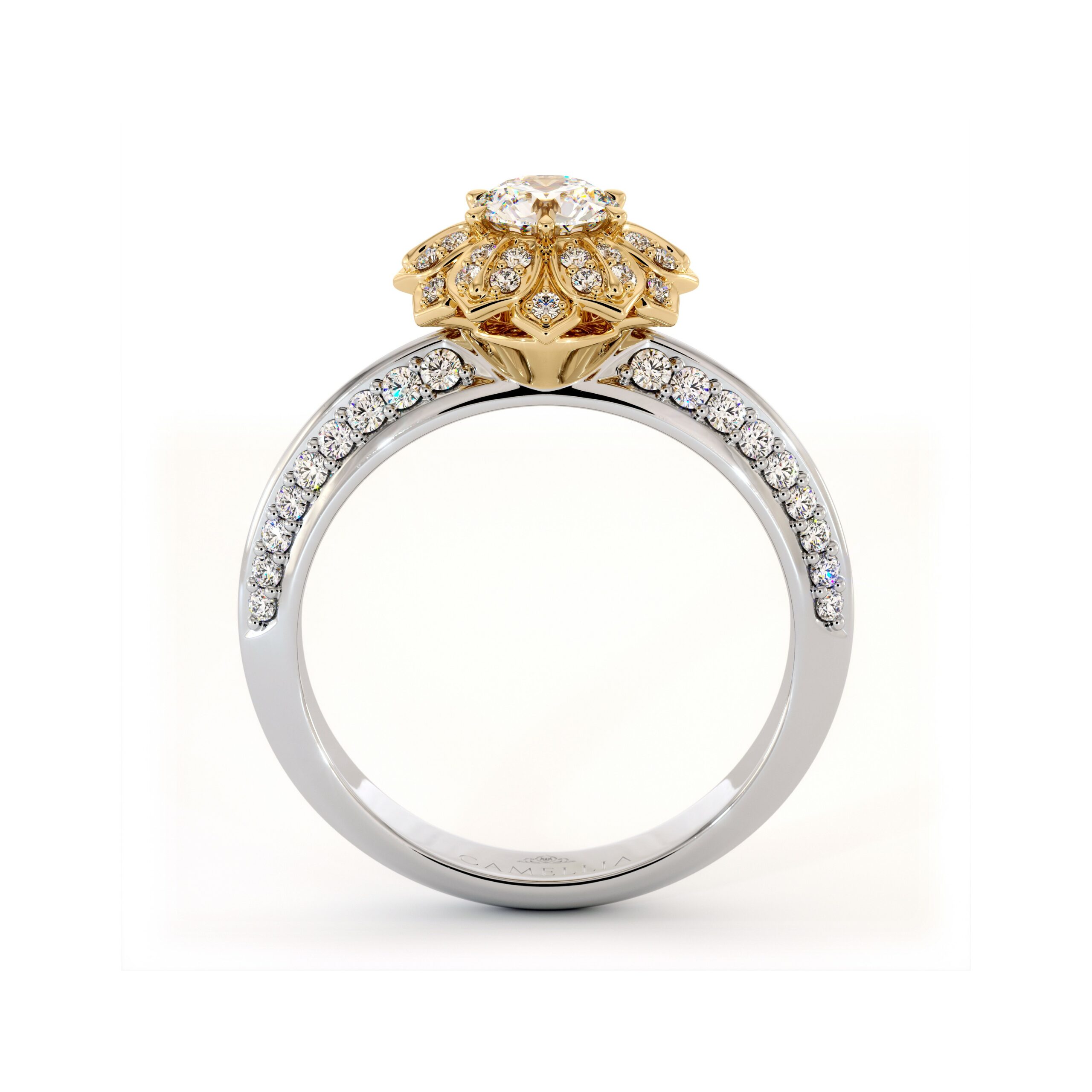 AF-0001A White & Yellow Gold (4)